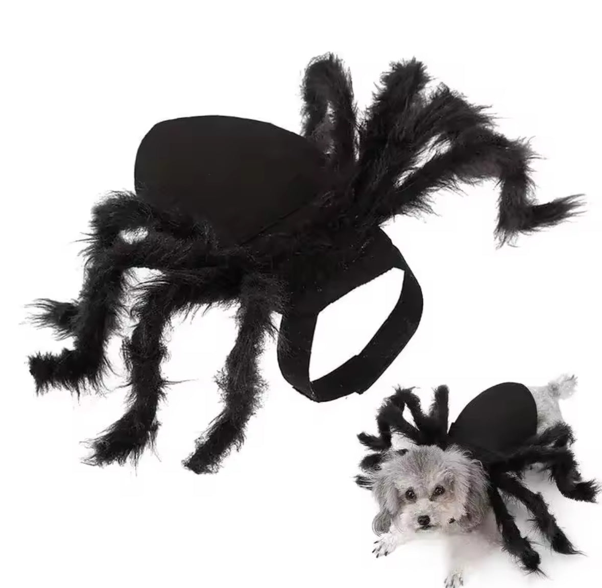 Traje de araña para perro/gato ajustable